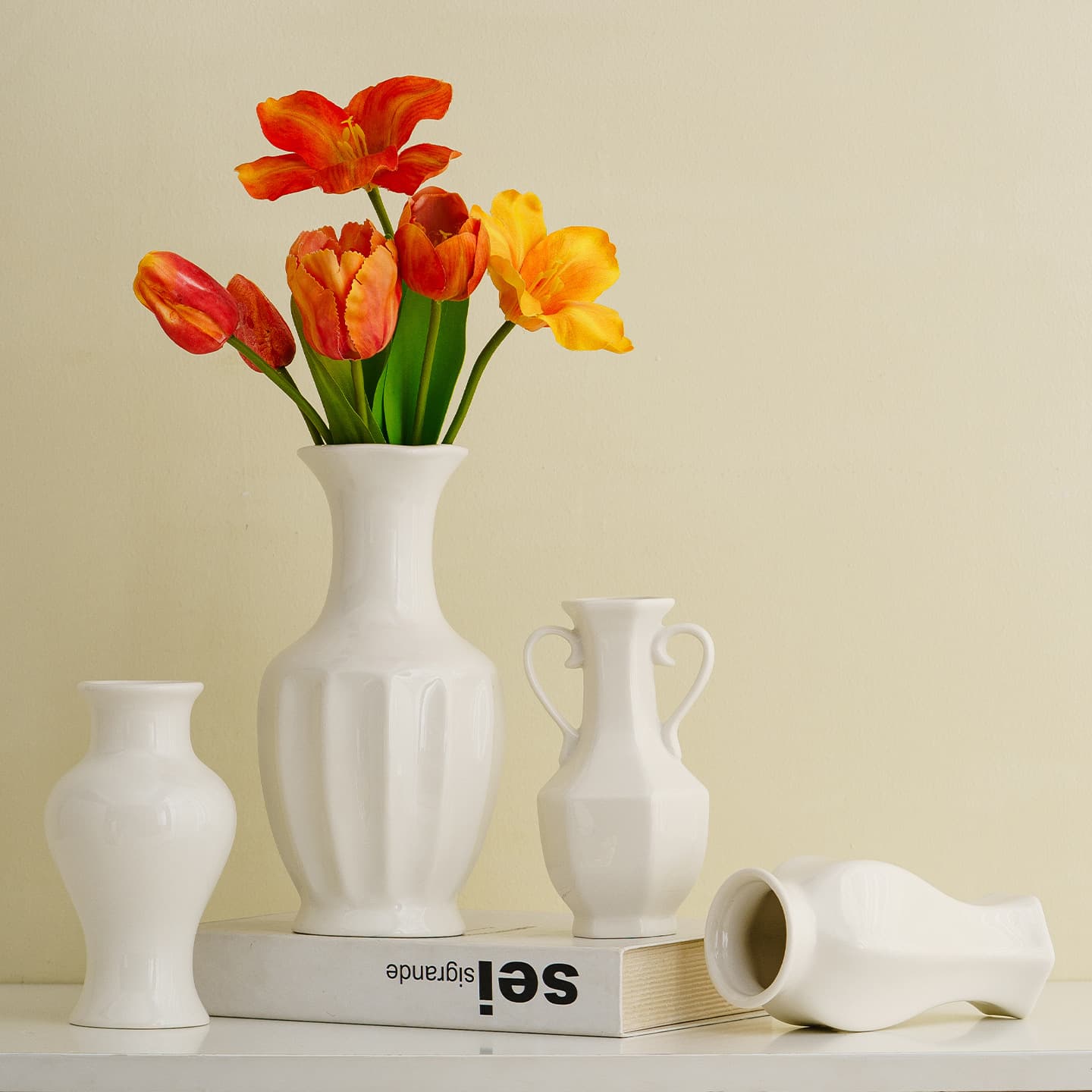 White Ceramic Hydroponic Vase Set