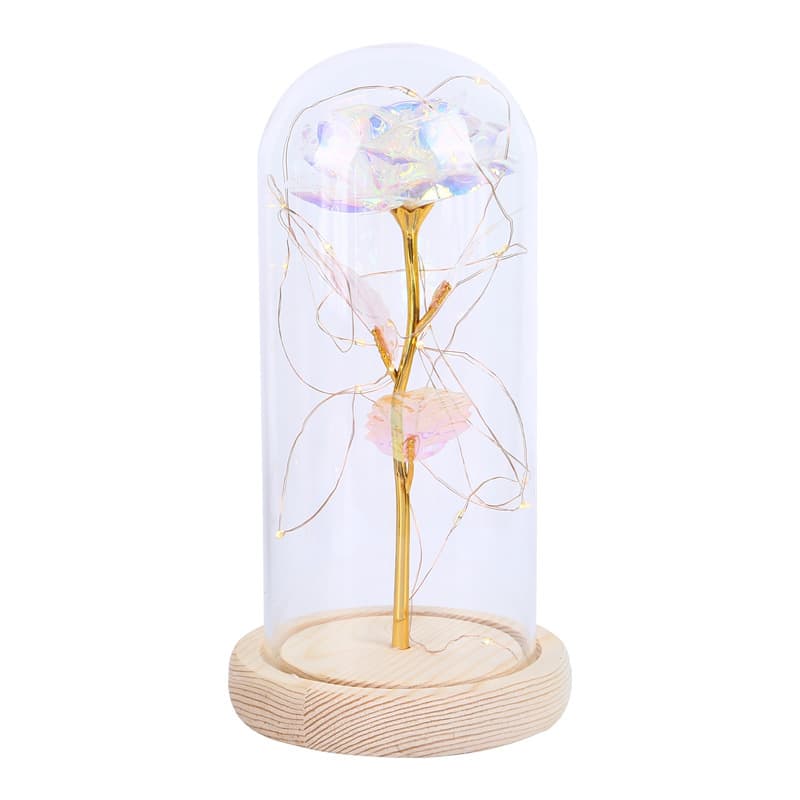 Preserved Flower Glass Dome detail 6