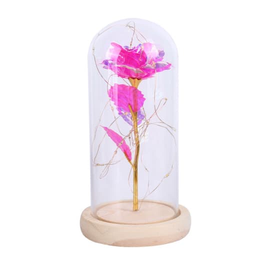 Preserved Flower Glass Dome detail 8